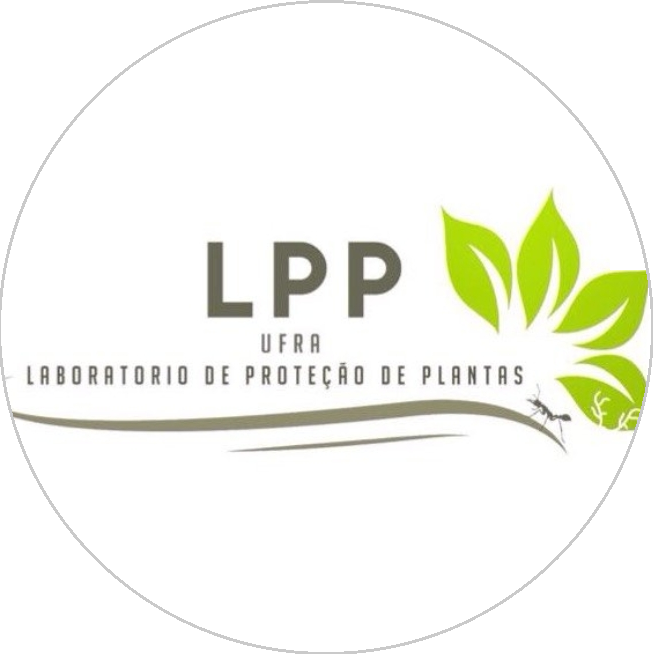 LPP.png