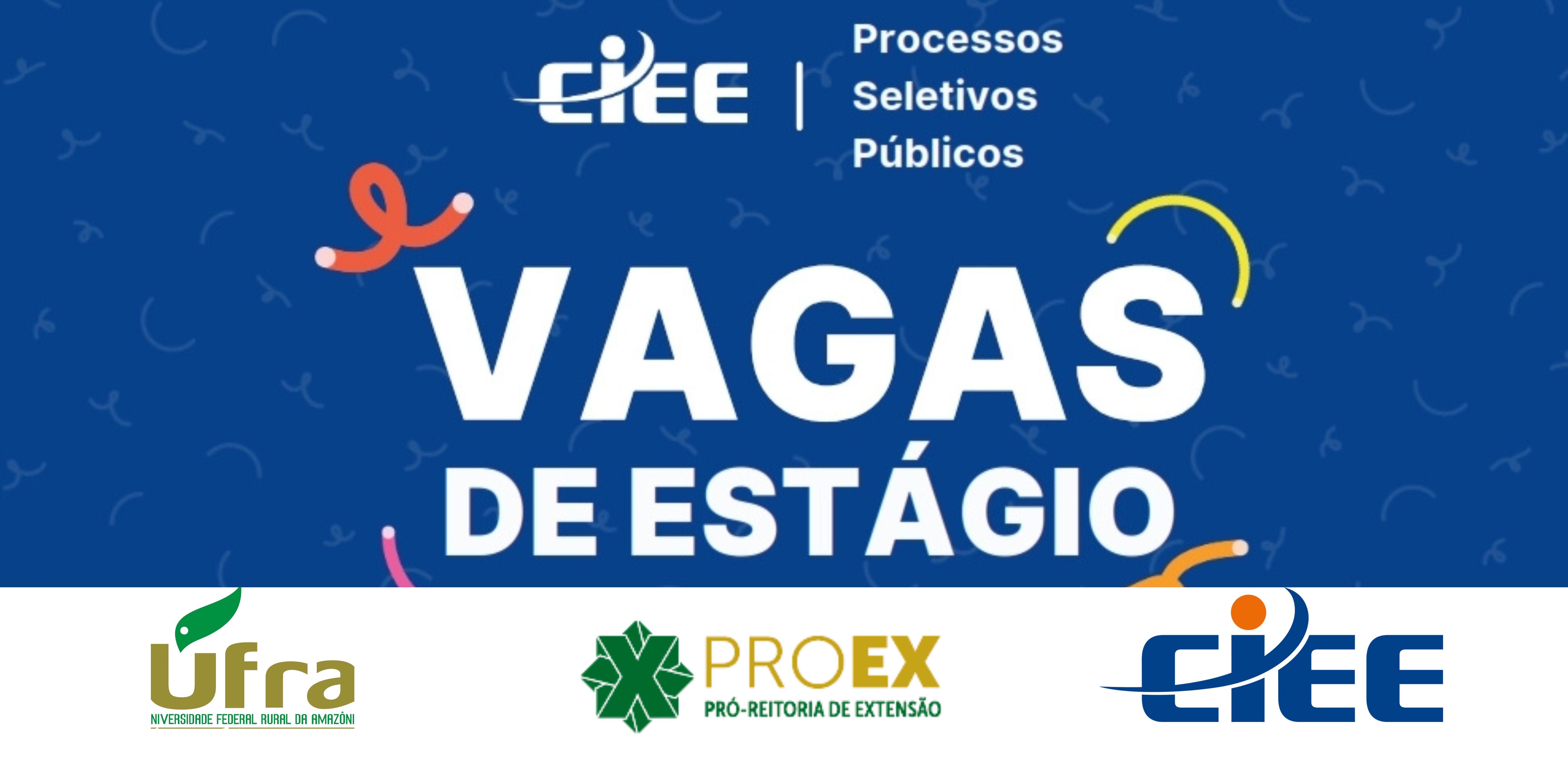 Busque a sua vaga de estágio aqui!